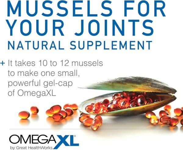 OmegaXL Joint Support Supplement – Natural Muscle Support